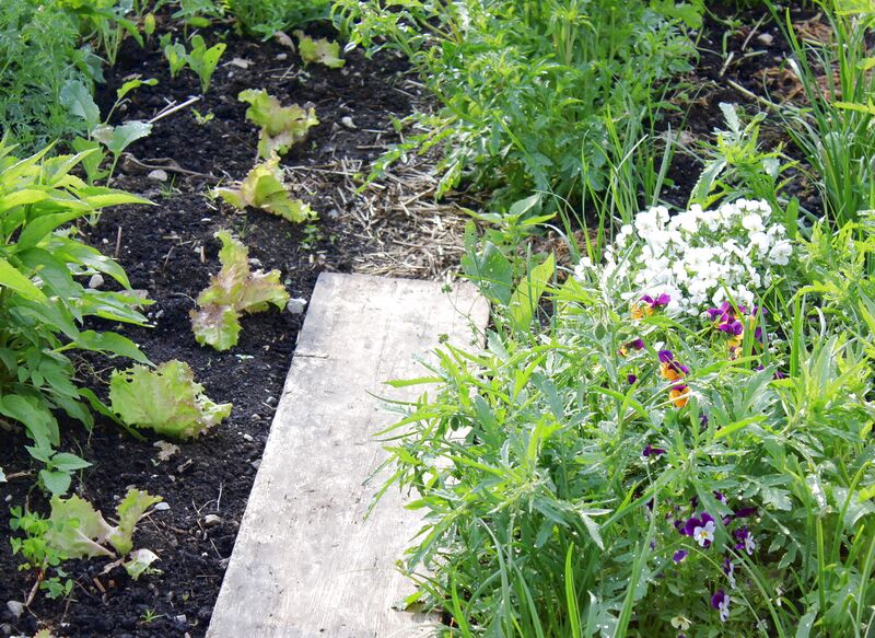 Datei:SG Natugartenkombi9.jpg