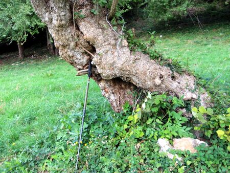 "Schiefe Turm" (Dindl) im Zögernitz