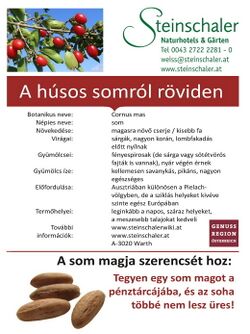 Ungarische Dirndlkarte Seite 1