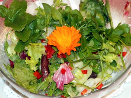 färbiges Salatschüsserl
