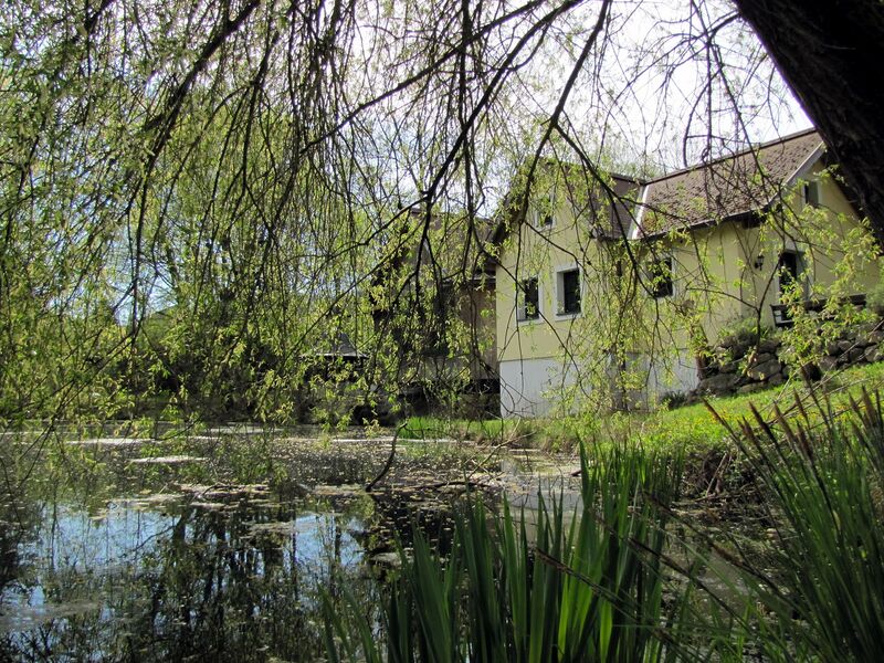 Datei:SH Teichbrücke Frühjahr.jpg