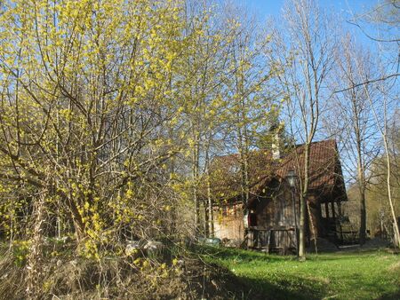 SH Teichhaus Dirndlblüte - Anfang April