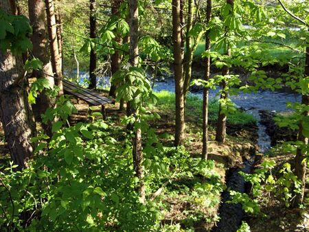 Bankerl beim Tradigistbach -Hundebadeplatz