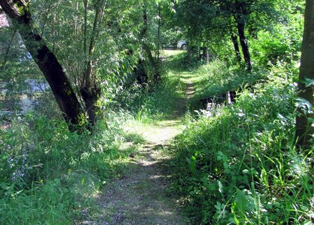 Teichweg zum Teichhaus