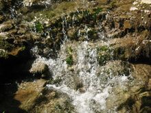 Soiserbach5 Sommer 2009.jpg
