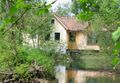 Idyll teichbrücke.jpg