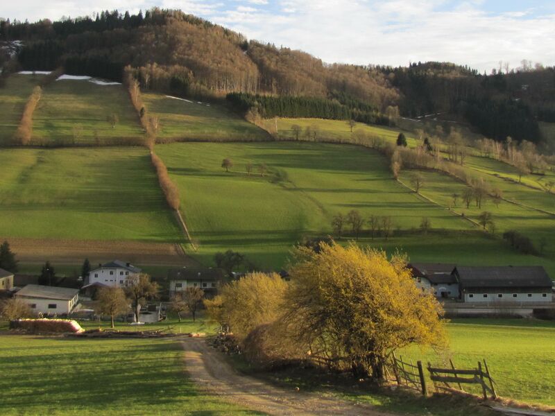 Datei:Blick Dirndlzeiler-Tradigist.jpg
