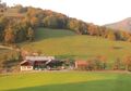 Plespitz Herbst.jpg