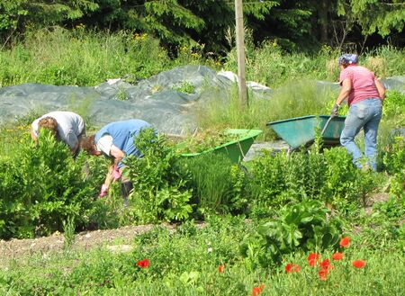 Pielachbettgarten Frühjahrs-Arbeiten