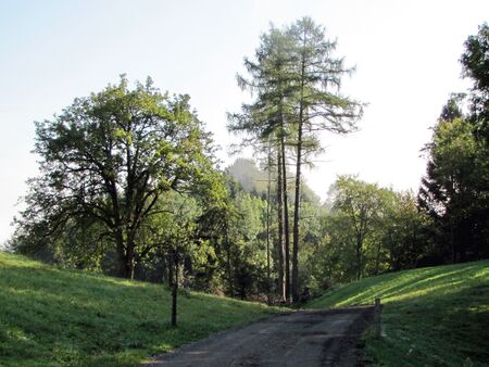 Abzweigung nach rechts zu den Eiben