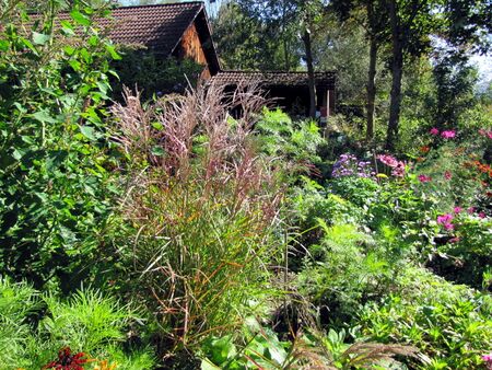 Eingang in den Produktions Garten