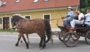 Bild:Johanna Kutschbock.jpg