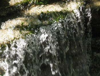 Soiserbach weiter hinten