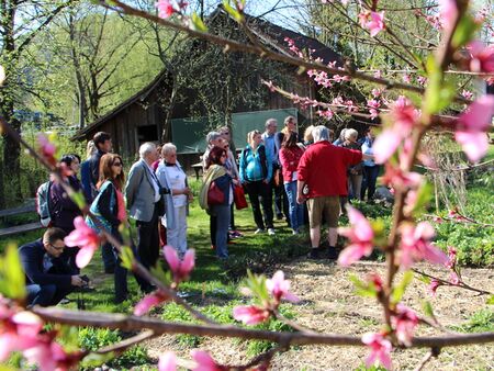 Kombinieren Sie Ihren Besuch mit einer Gruppenführung in den Steinschaler Gärten