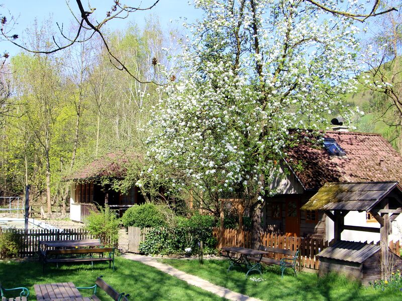 Datei:SH Troadkasten Brinbaumblüte.jpg