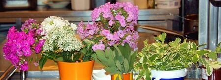 Speiseblüten zum Kochen
