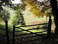 Blick Wetterluckn Herbst.jpg