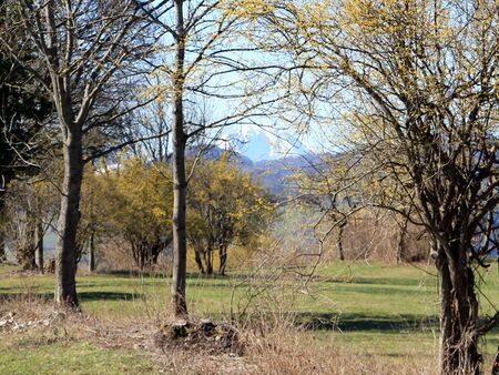 Dirndlblüte auf der Eben - Ötscherblick
