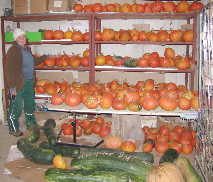Datei:SG Teil Kürbislager 2012-4.jpg