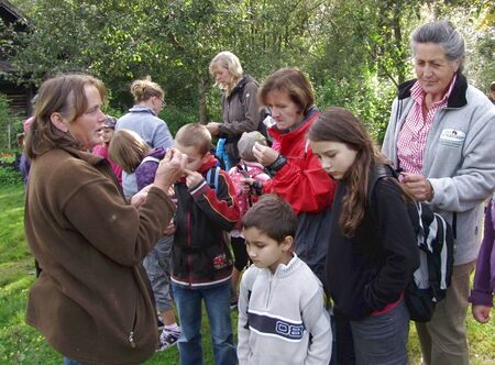 Volksschule Tradigist - Gartenführung 2011