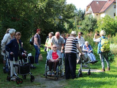 Narrierefrei Natur-Gartenführung mit Rollstuhl