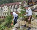 NHKonf Dirndpflanzung.jpg