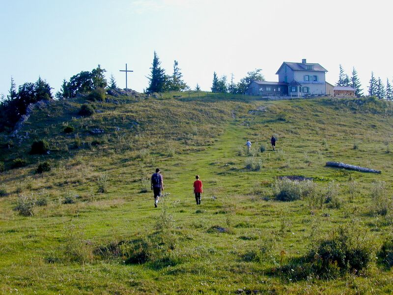 Datei:Eisenstein Morgen Alm.jpg