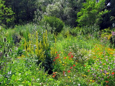 Gartenvielfalt im Ende Mai