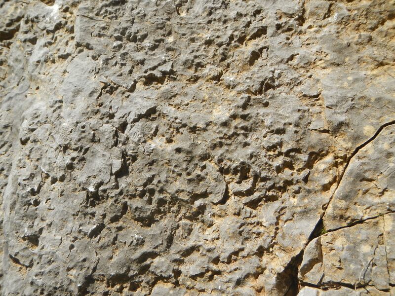 Datei:Reiflinger Kalk.jpg