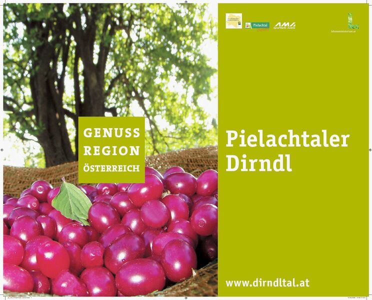 Datei:GR Pielachtaler Dirndl.jpg