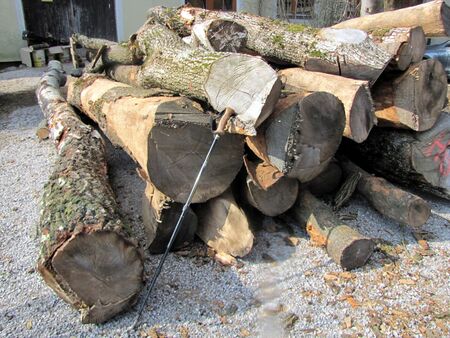 Brenholzvorat im Steinschalerhof - Teil