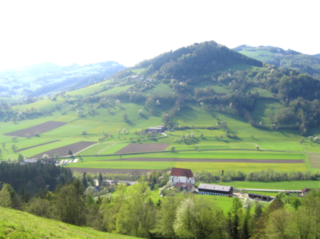 Fronberg vom Hofberg gesehen - im Frühling