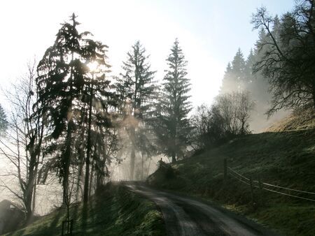 Nebel oberhalb des Oachnerhofs
