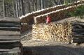 Brennholz Gasibühel.jpg