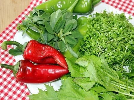 Novemberernte aus Folientunnel