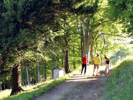 Wanderung bei Kendler Eibe mit Paula