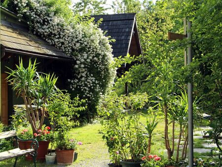 Bereich vor dem Mostinium