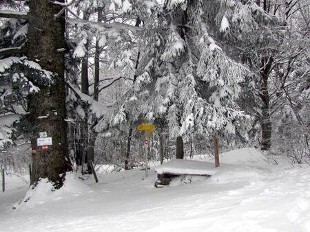 Überstieg zur Alm - Winter