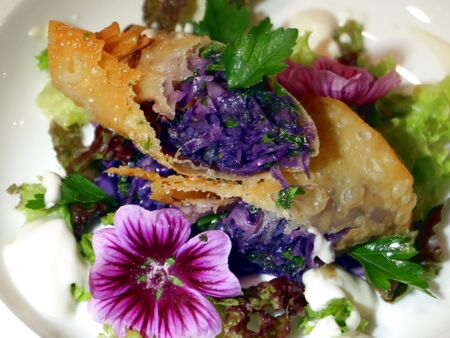 Steinschaler veganes Krautwickerl