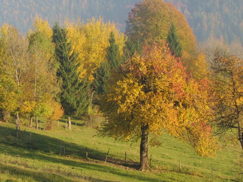 Datei:Herbstimmung Loich.jpg