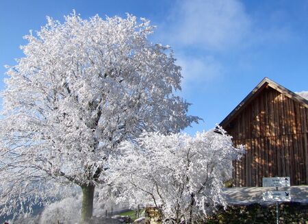 Laimboden bei Raureif