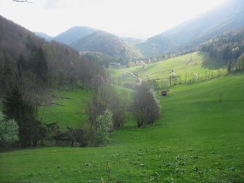 Frühlingstal - Eisenstein