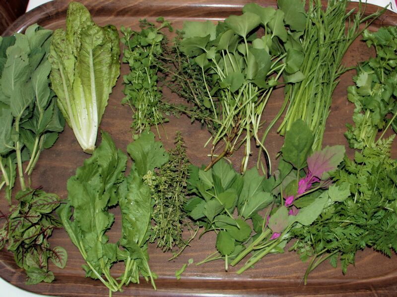 Datei:SG Kräutertablett2014V1.jpg