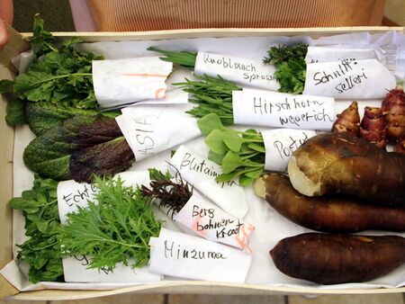 Kräuterkistl mit Erntebeispielen