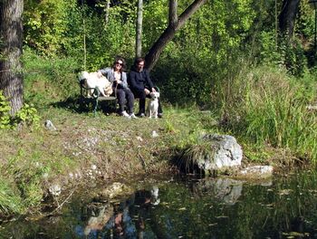 Hunde am Steinschaler Teich