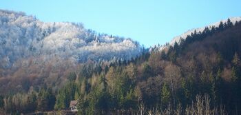 SD Panoramahaus und Raureif - Herbst 2009