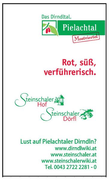 Datei:Steinschaler Dirndl-Serviette.jpg