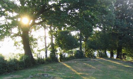 Gegenlicht Morgenwanderung: Leindlgraben