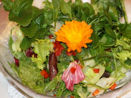 Salatschüsserl - fast immer dabei