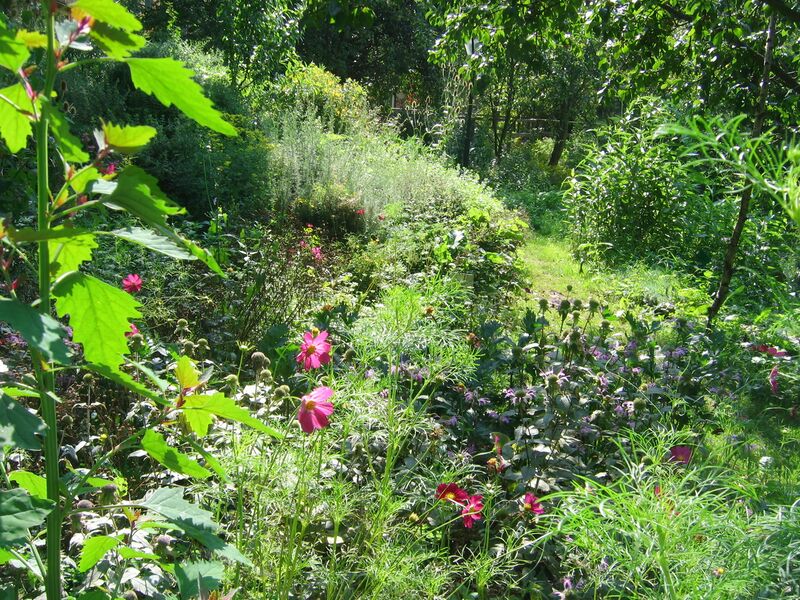 Datei:SG Vielfalt1.jpg